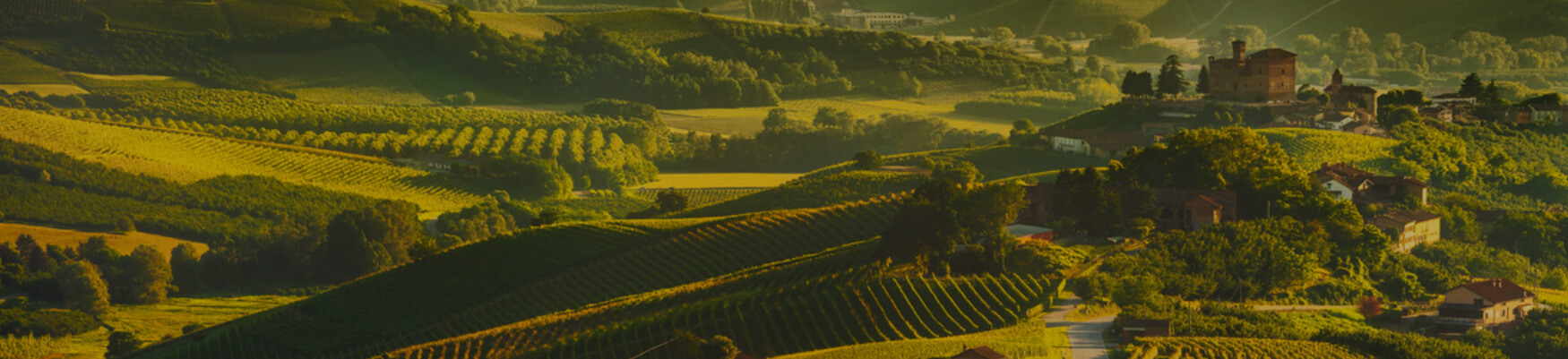 AWS Intro to Wine – First Pour™ Hospitality Tailored