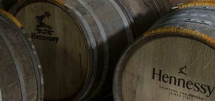 Brandy Tastings