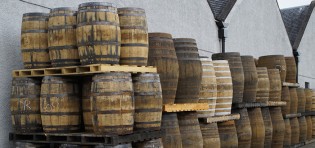 Mastering Maturation